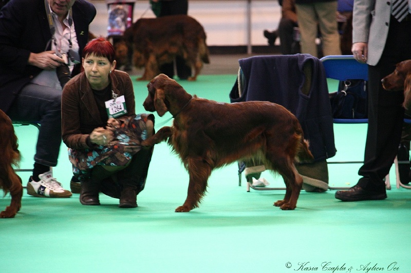 Crufts2011 636.jpg